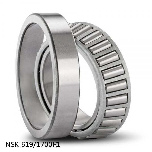 619/1700F1 NSK Deep groove ball bearings