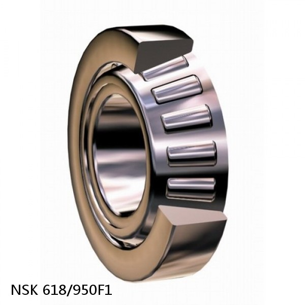 618/950F1 NSK Deep groove ball bearings