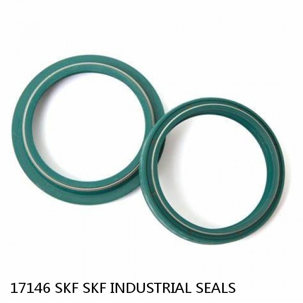 17146 SKF SKF INDUSTRIAL SEALS