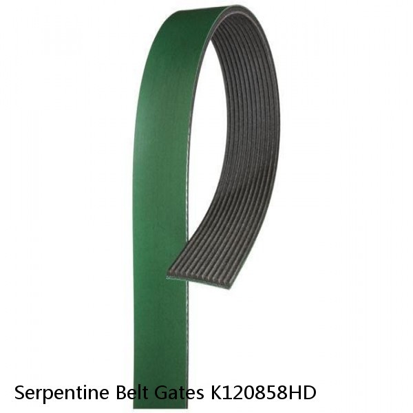 Serpentine Belt Gates K120858HD