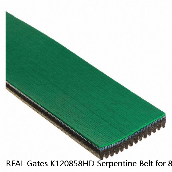 REAL Gates K120858HD Serpentine Belt for 8L27179 6122180 D8410006122180 4120860X #1 small image