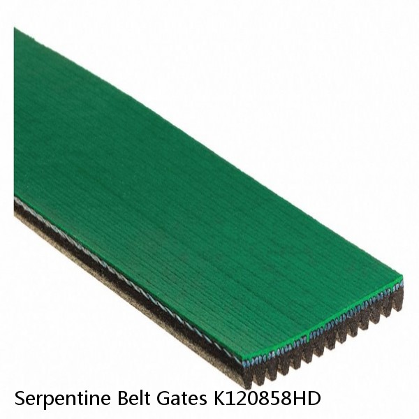 Serpentine Belt Gates K120858HD #1 small image