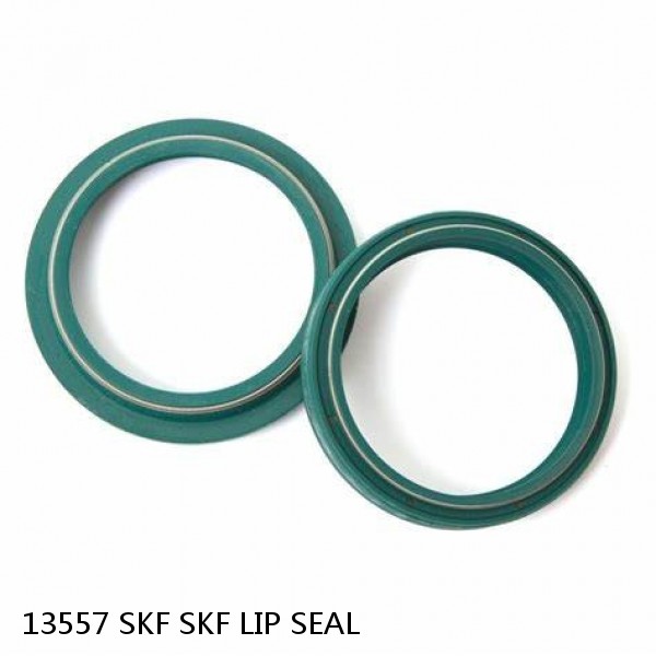 13557 SKF SKF LIP SEAL