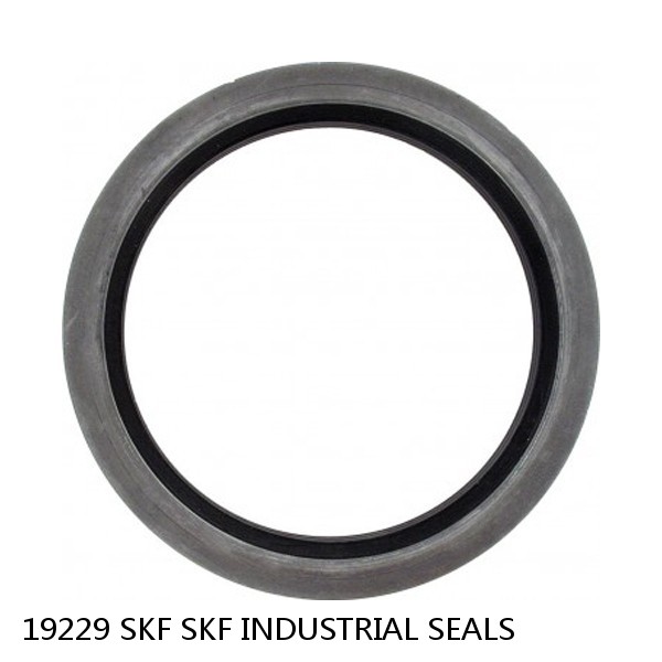 19229 SKF SKF INDUSTRIAL SEALS