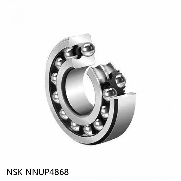 NNUP4868 NSK Double row cylindrical roller bearings #1 image