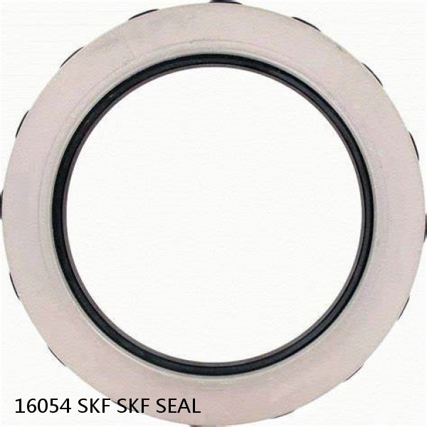 16054 SKF SKF SEAL #1 image