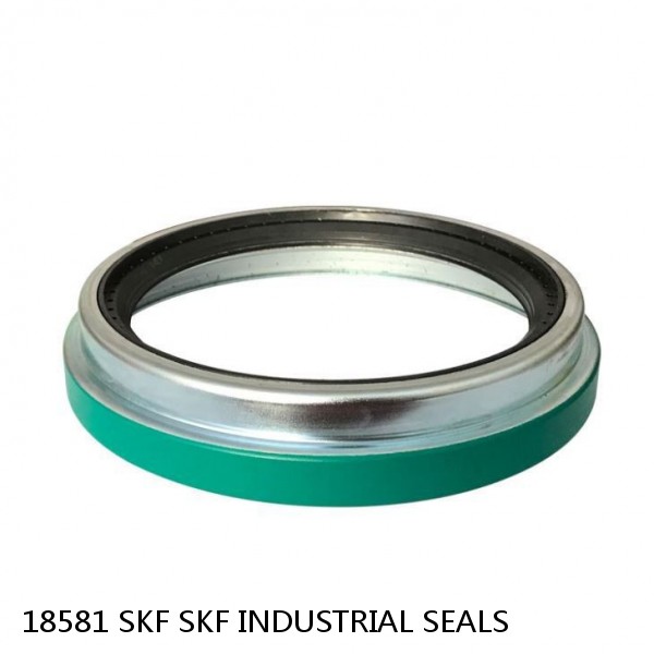 18581 SKF SKF INDUSTRIAL SEALS #1 image