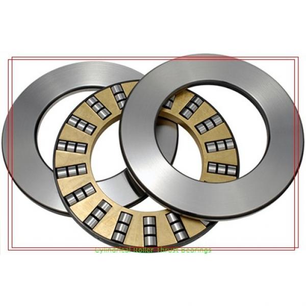 INA AS150190 Roller Thrust Bearing Washers #1 image