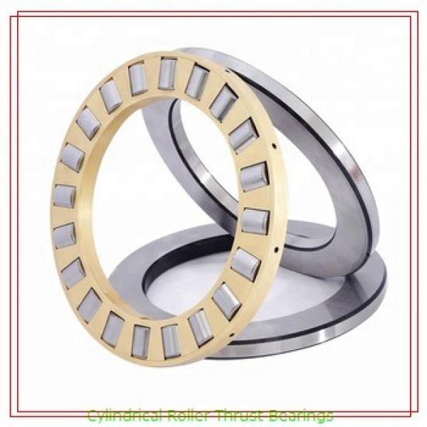 INA WS81106 Roller Thrust Bearing Washers #1 image